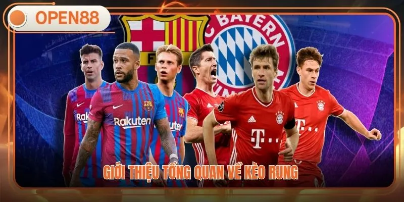 Giới thiệu tổng quan về kèo rung